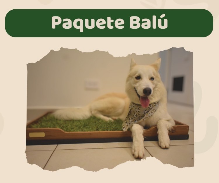 Paquete Balú