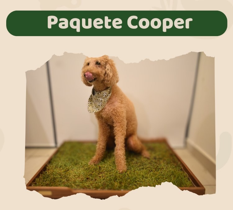 Paquete Cooper
